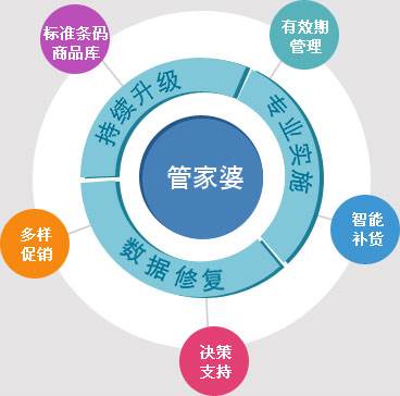 深入解析8383848484管家婆，精选策略、细致解析与有效落实